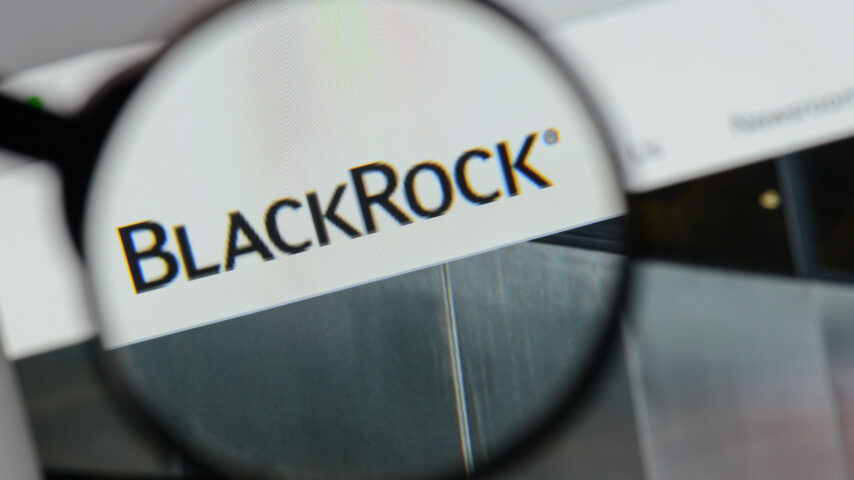BlackRock’s Portfolio Getting Flooded with Meme Coins: There are Increases!