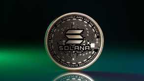 Investor Makes a 56x Profit on the New Meme Coin on the Solana Network