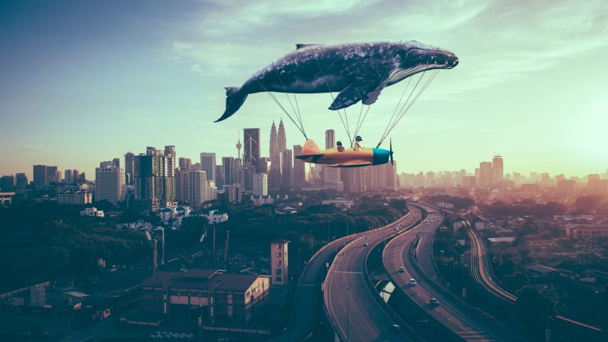 Whale Makes Huge Profit by Buying Into Altcoin, Becomes One of the Largest Holders!